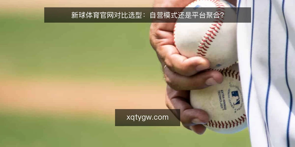 新球体育官网对比选型:自营模式还是平台聚合? — 明确需求边界 配图