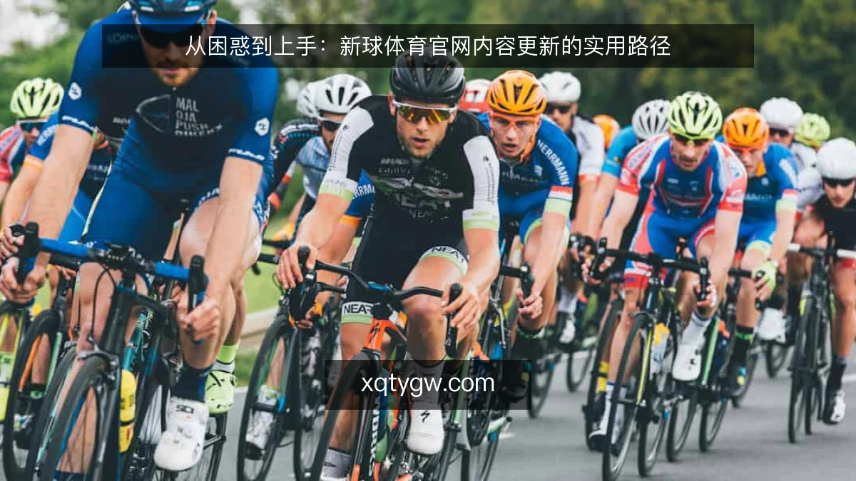 从困惑到上手:新球体育官网内容更新的实用路径
