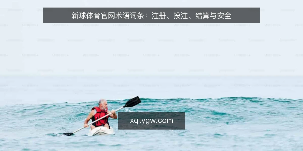 新球体育官网术语词条:注册、投注、结算与安全 — 新球体育官网是什么? 配图