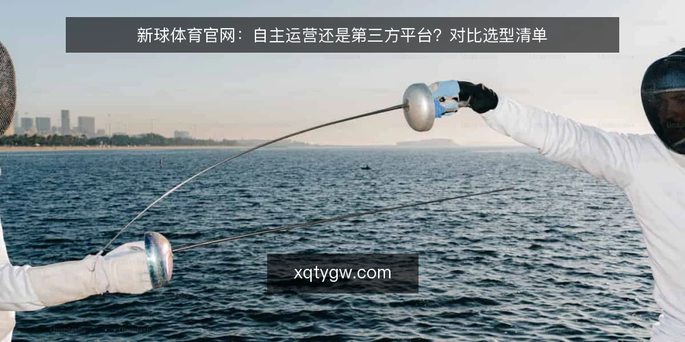 新球体育官网:自主运营还是第三方平台?对比选型清单 — 为何现在需要审计官网运营模式 配图